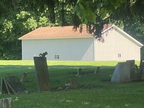 A tiny sentinel keeps watch over the quiet cemetery.